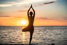 Holistic Wellness and Whole-Body Health
