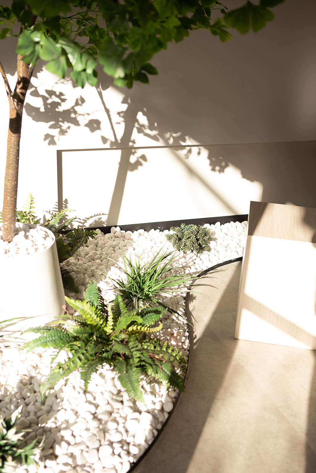Regen Wellness Studio in Hampton with a garden design, in a sunny courtyard setting with lush green ferns