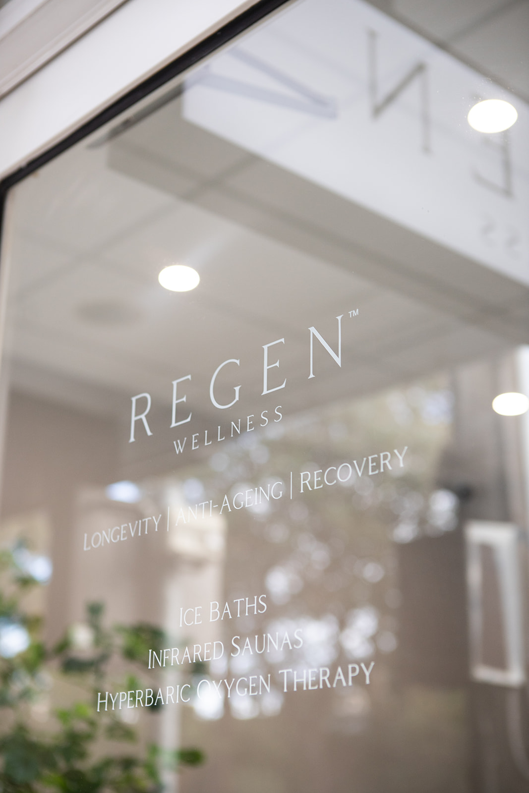 photo of studio at Regen Wellness Glass panel supporting sustainable wellness